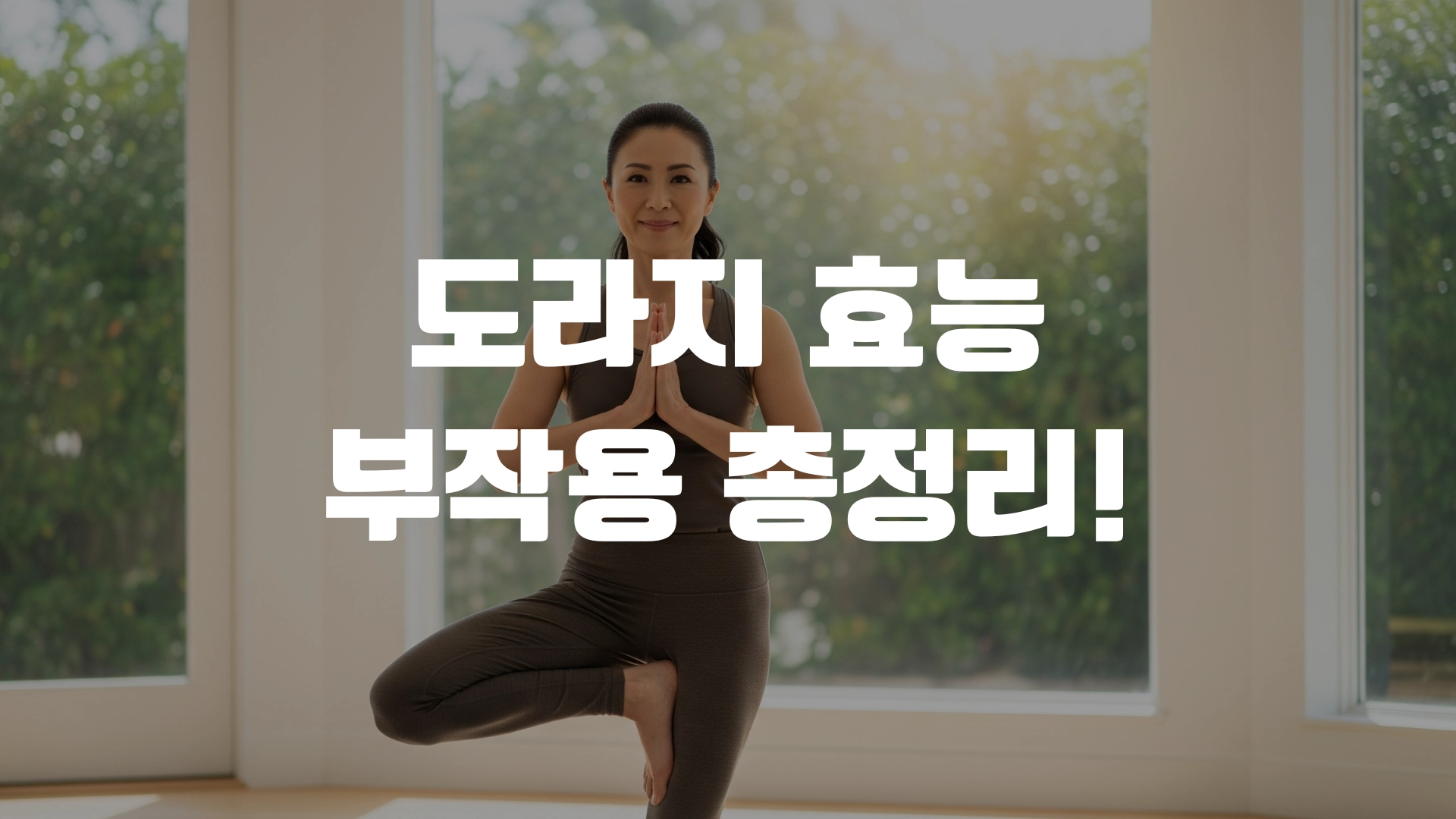 도라지 효능 부작용 총정리! 포스팅 섬네일