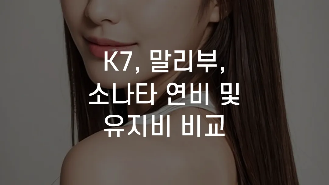 K7, 말리부, 소나타 연비 및 유지비 비교