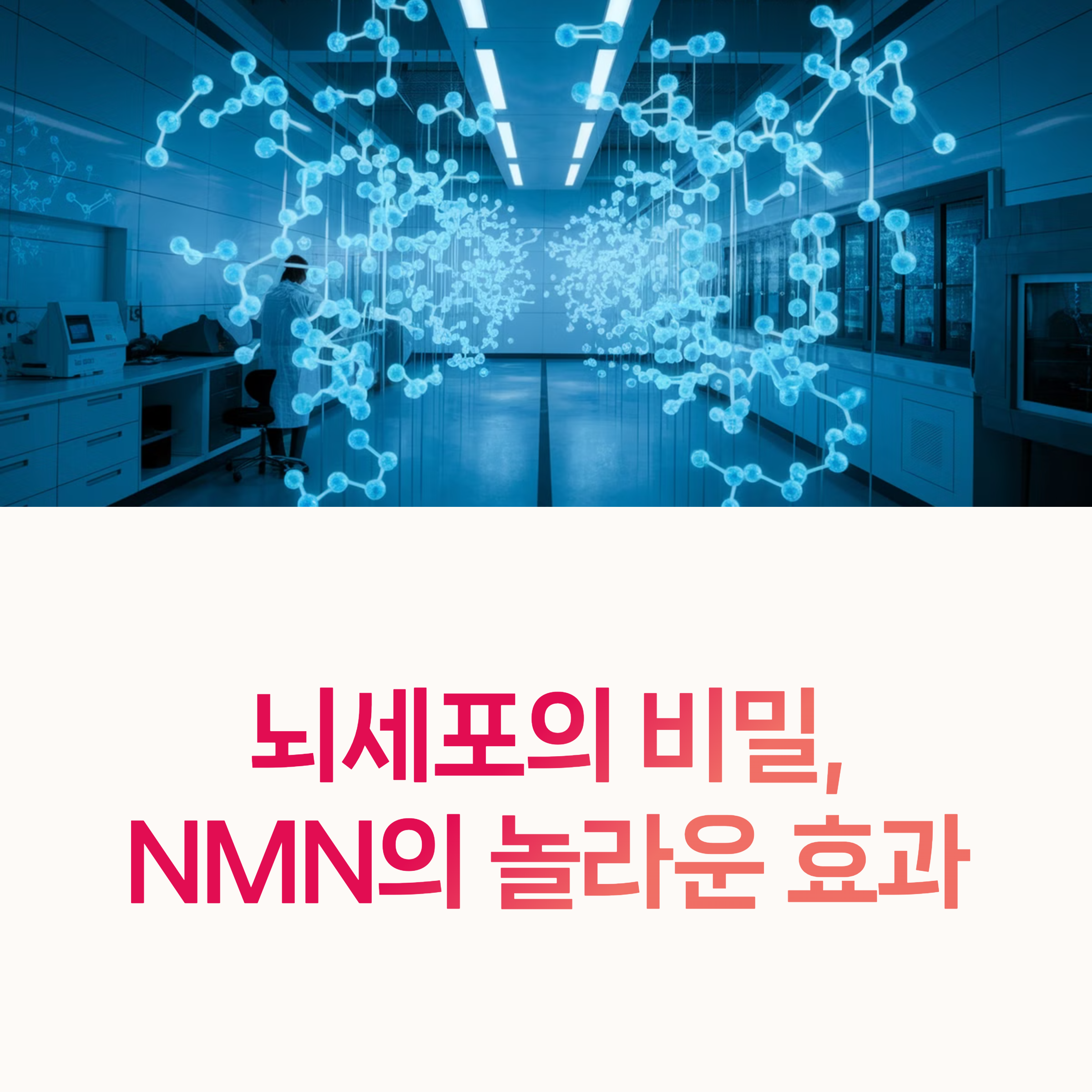 NMN, 위장 자극,