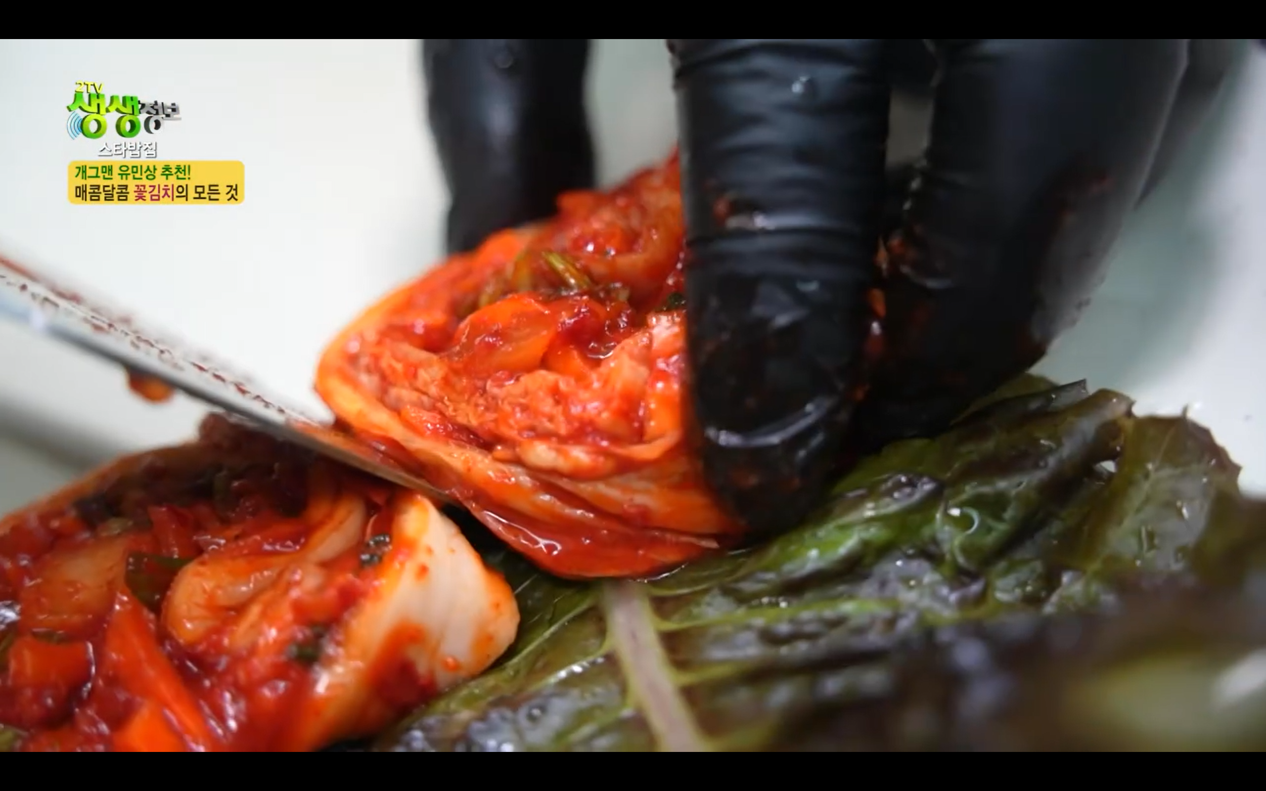 생생정보통 이필당족발보쌈