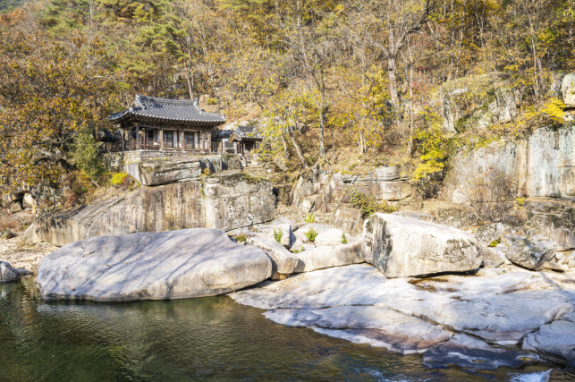 괴산 생활비 + 주거비 절약 전략 — 실제 거주 기준으로 만드는 “지출 구조 최적화 방법”
