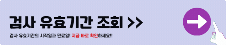 자동차 검사 유효기간