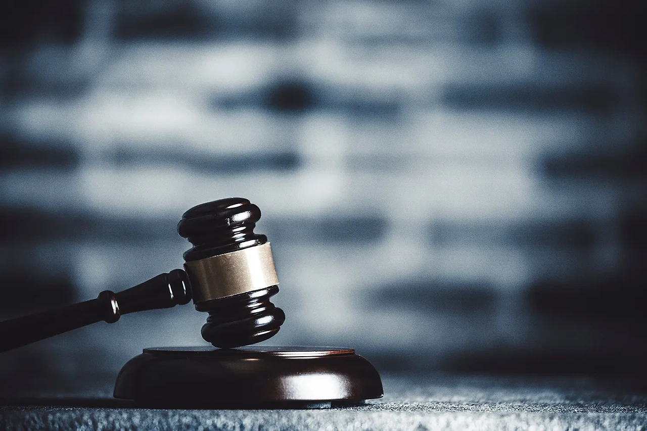 소송비용 확정신청