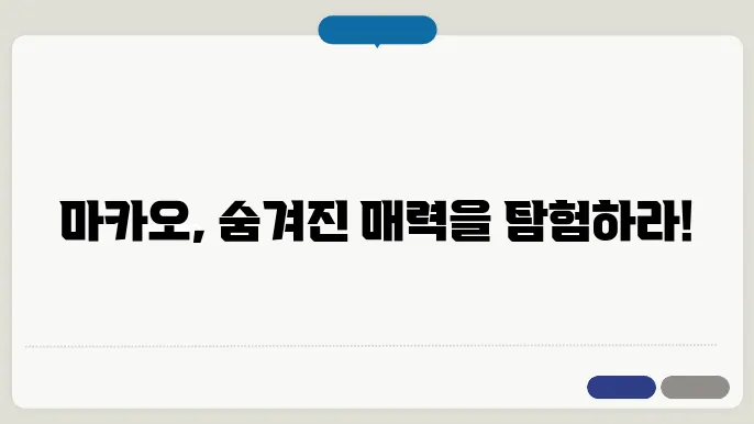 마카오 3박4일 완벽 여행 코스: 카지노부터 세원산응 현지인 추천 루트