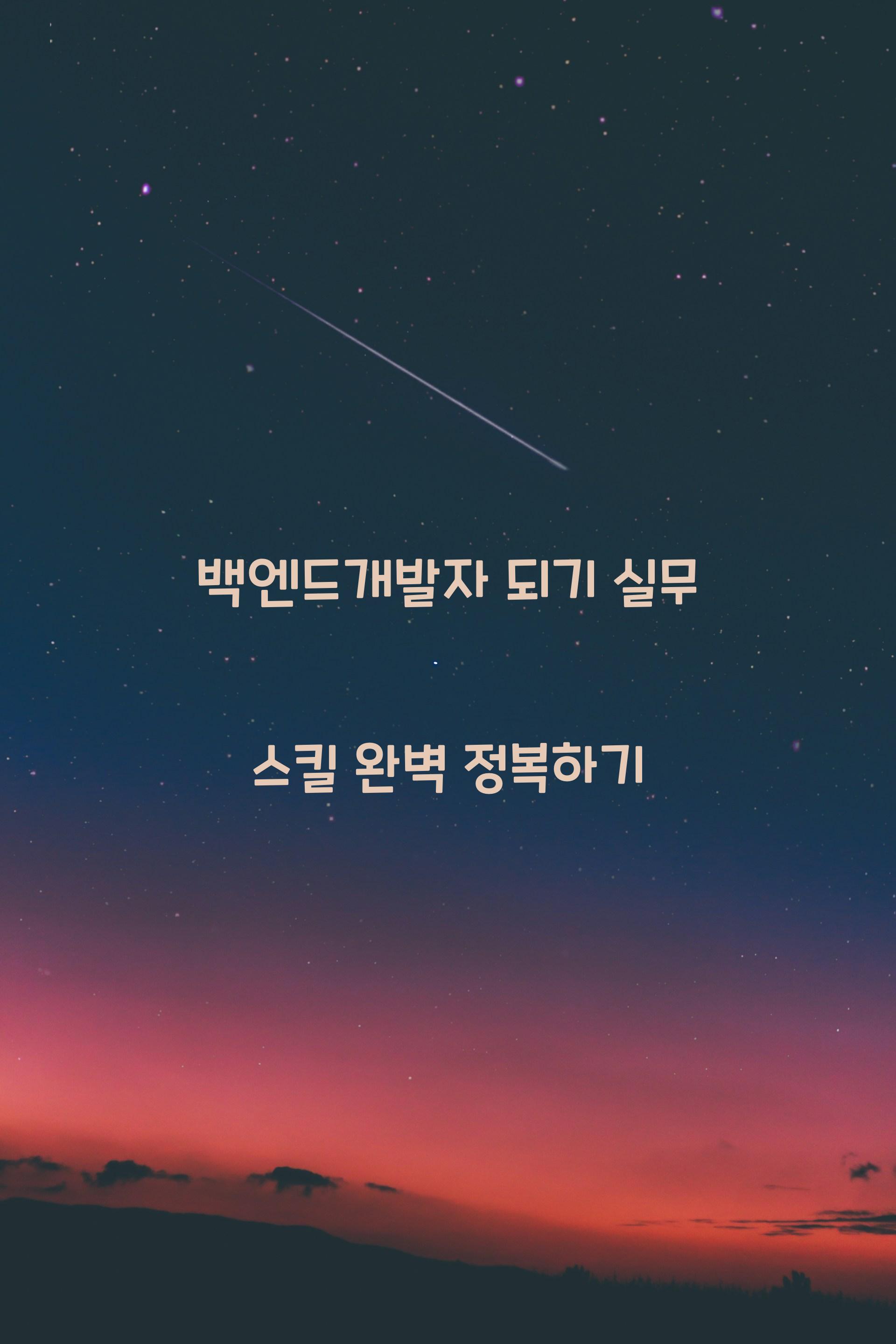 백엔드개발자