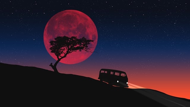 캠핑장 예약 방법