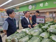 배추할인
