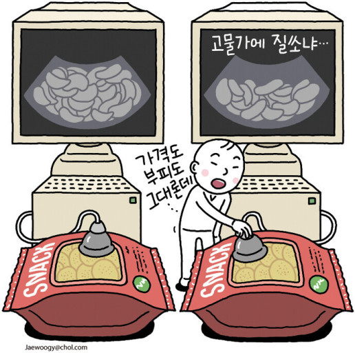 슈링크플레이션
