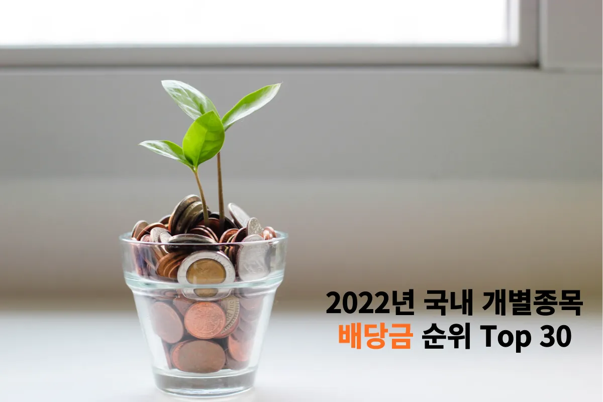 2022년 국내 개별종목 배당금 순위 Top 30 | 1위는 고려아연, 일성신약 - 1. 개별종목 배당금 순위 2022년-배당금-순위