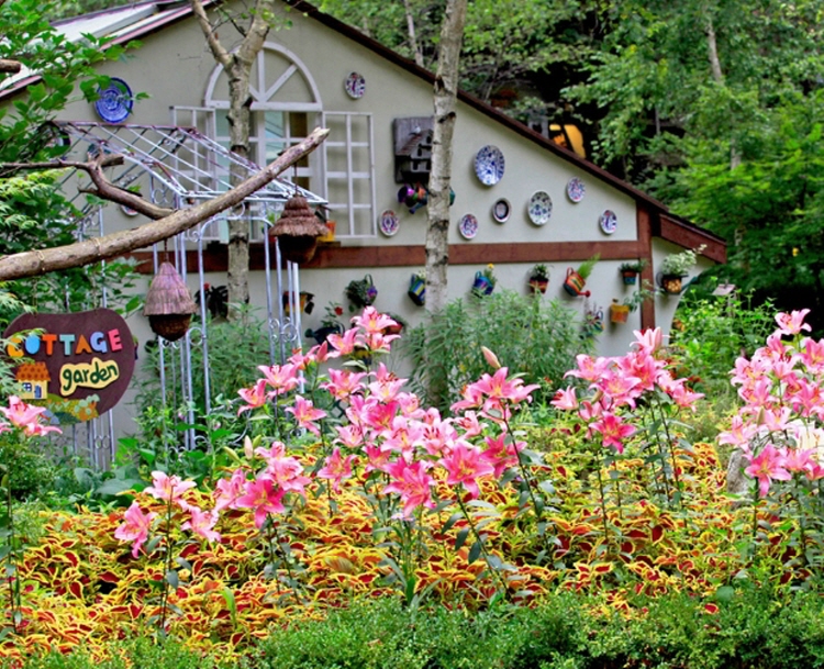 평창 가볼만한곳