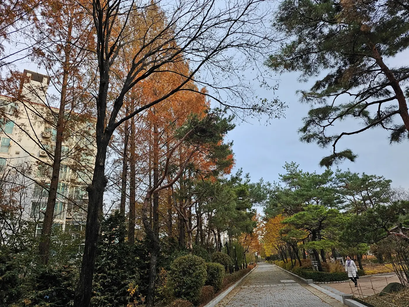 절두산 성지(성당)의 역사 및 미사시간