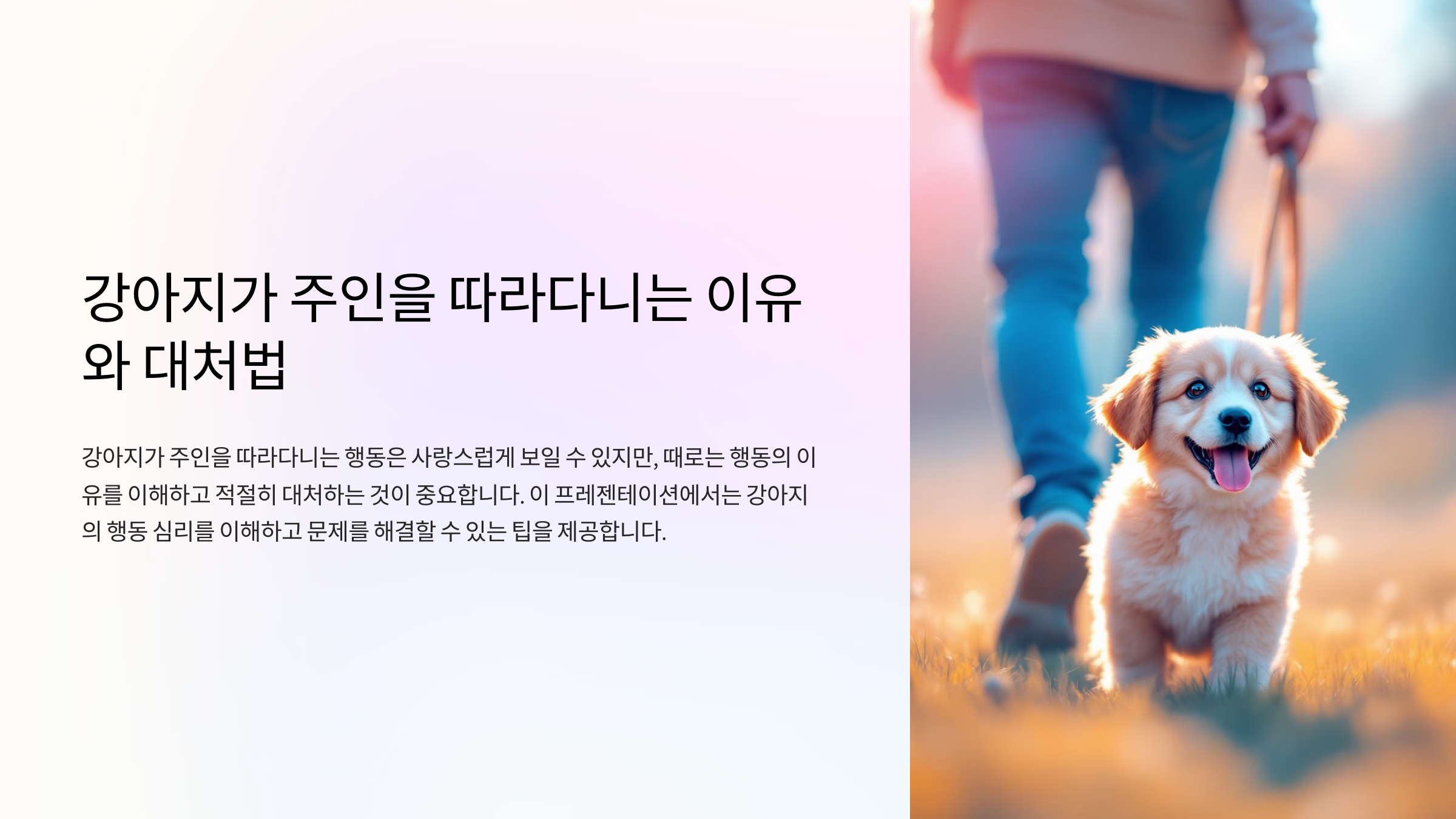 강아지가 주인을 따라다니는 이유와 대처법