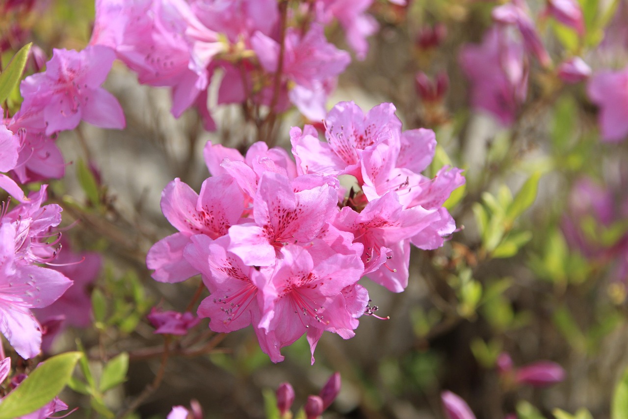 포항 펜션예약&amp;#44; 호미곶&middot;영일대 근처 추천 숙소