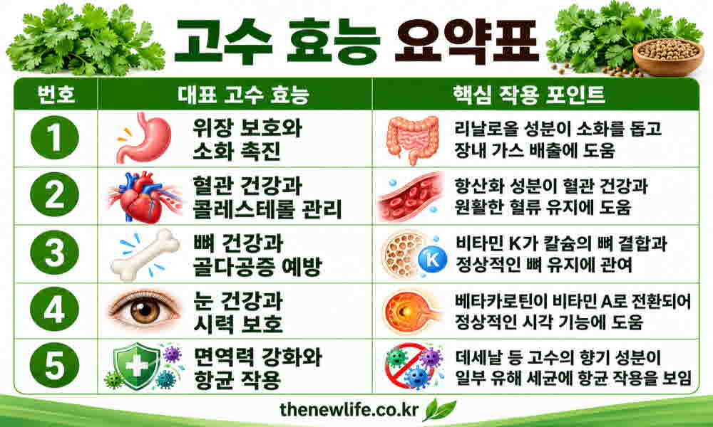 고수 효능 요약표