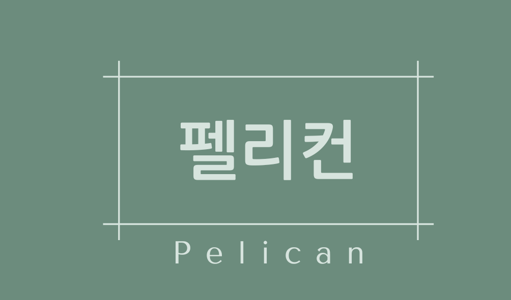 펠리컨(Pelican)