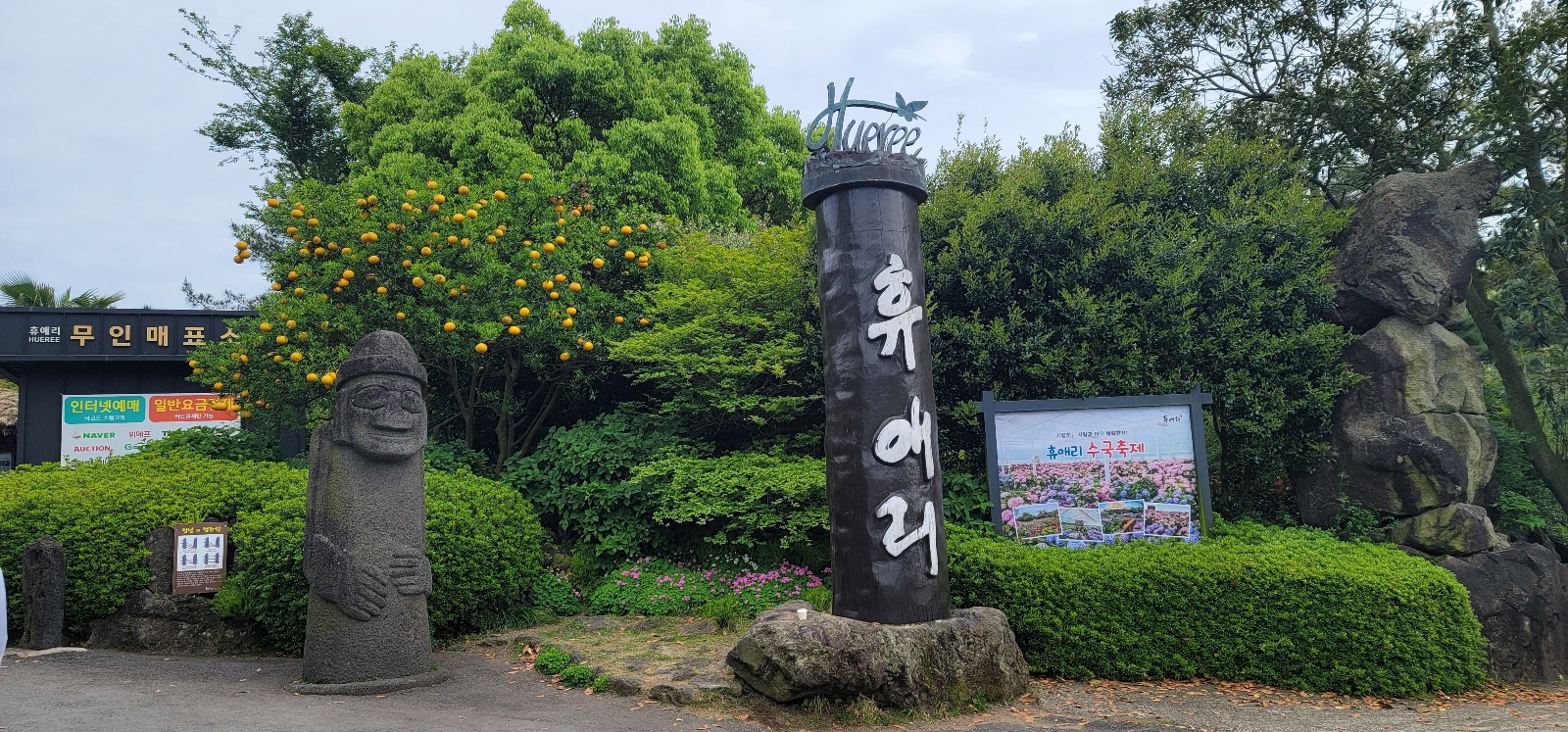 제주휴애리봄수국축제