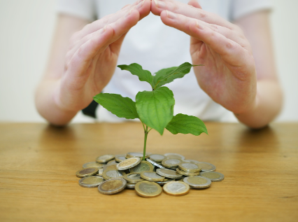 돈에서 싹이 나는 모습의 사진