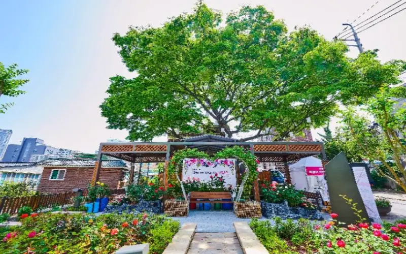 중랑 서울 장미축제_9