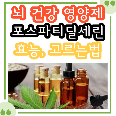 대마종자유 효능