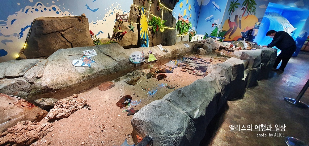 부산 실내 전시관 가볼만한곳 BEST 10