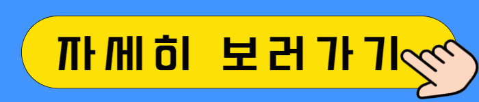 셀프 실내세차, 비용 1/3로 끝내는 미친 청소 꿀팁!