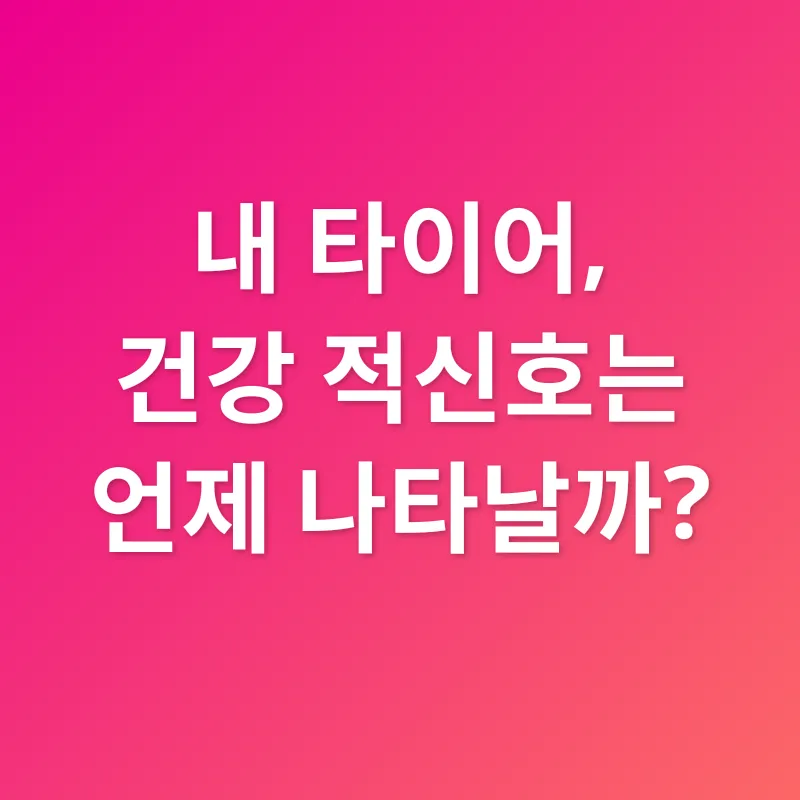 타이어 관리_2