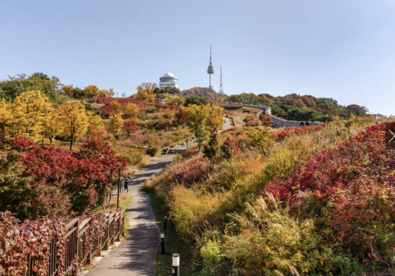 남산공원 전경