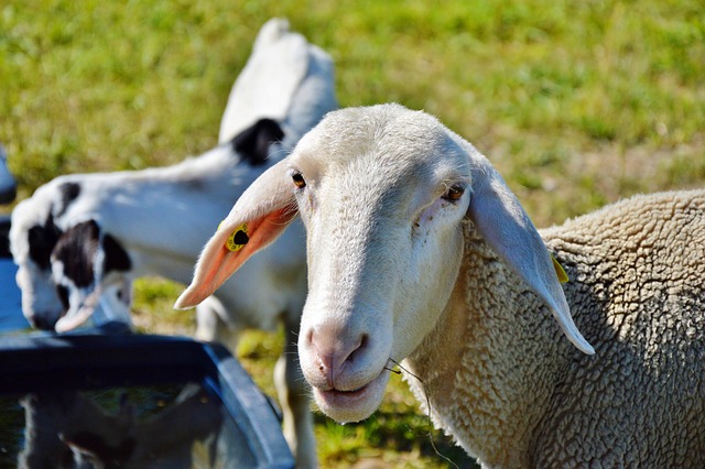 11월 가족 여행 추천 - 아이와 함께 떠나는 국내 명소 BEST 코스