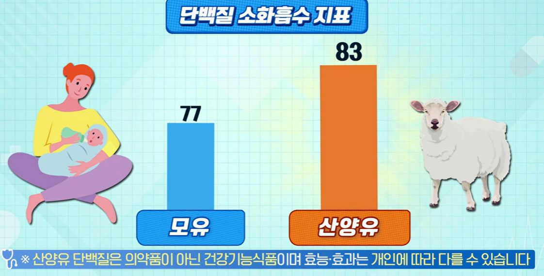 산양유 단백질 효능