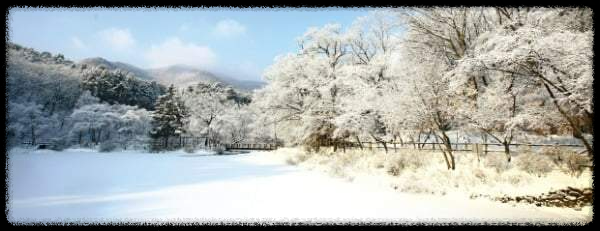 국내 겨울 설경 여행지 Best 10: 눈 덮인 명소와 일출·일몰 스팟
