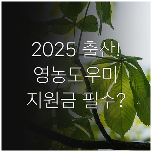 경상북도 2025 출산지원 사업 영농..