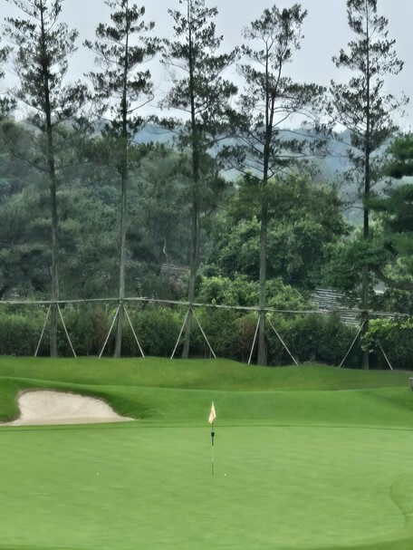 여주CC CHALLENGE 코스 그린