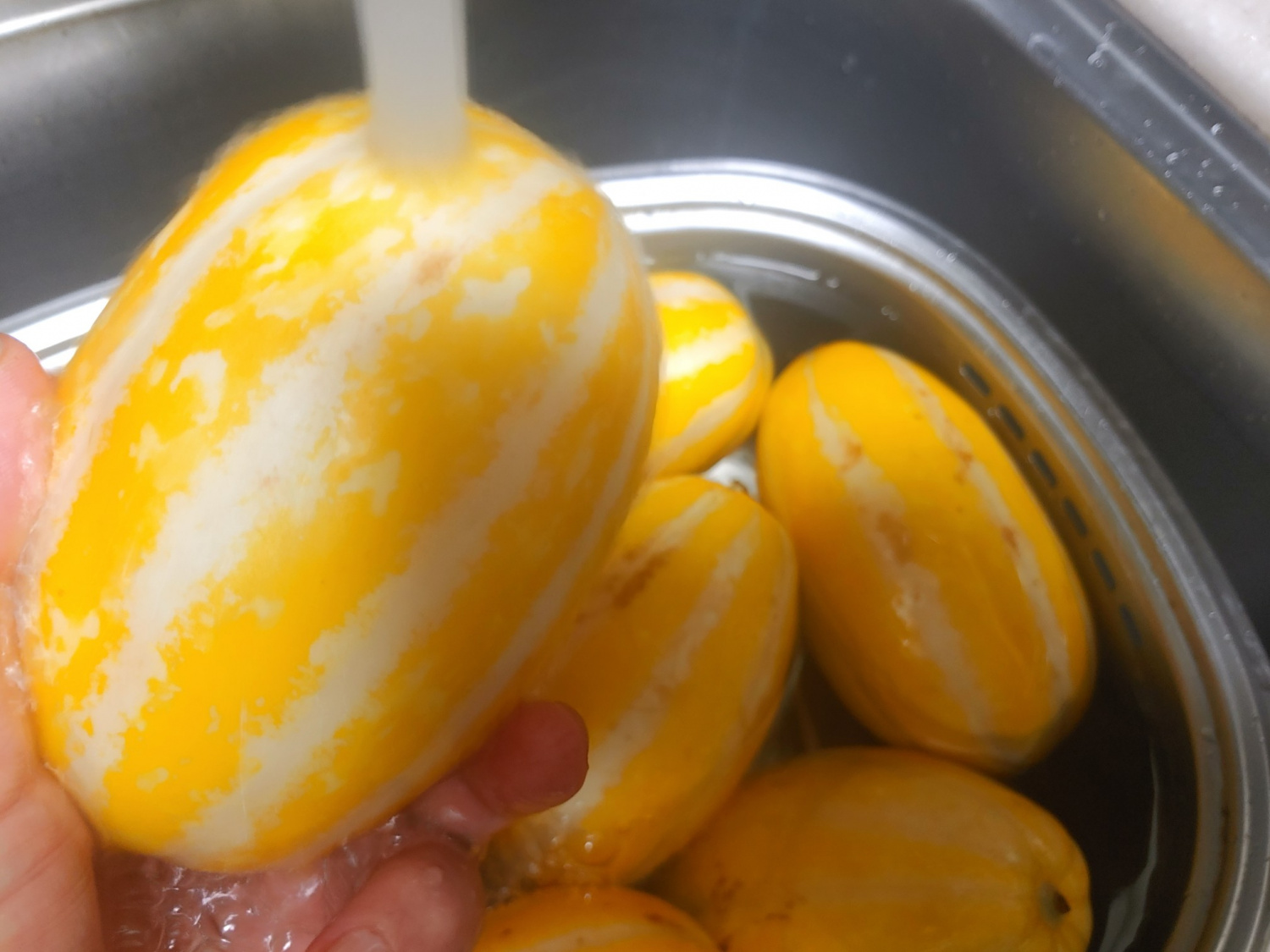 참외 껍질 참외씨 효능 5가지 참외 고르는 방법 1개 칼로리 참외장아찌 담그는 법