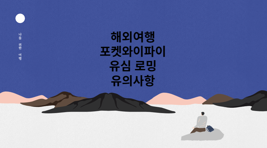 해외여행 포켓와이파이 유심 로밍 유의사항
