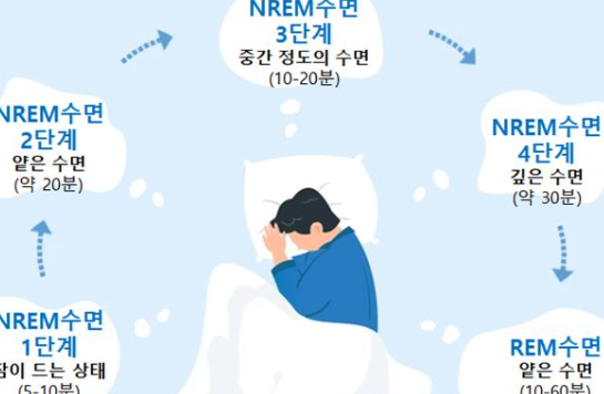 REM 수면의 단계