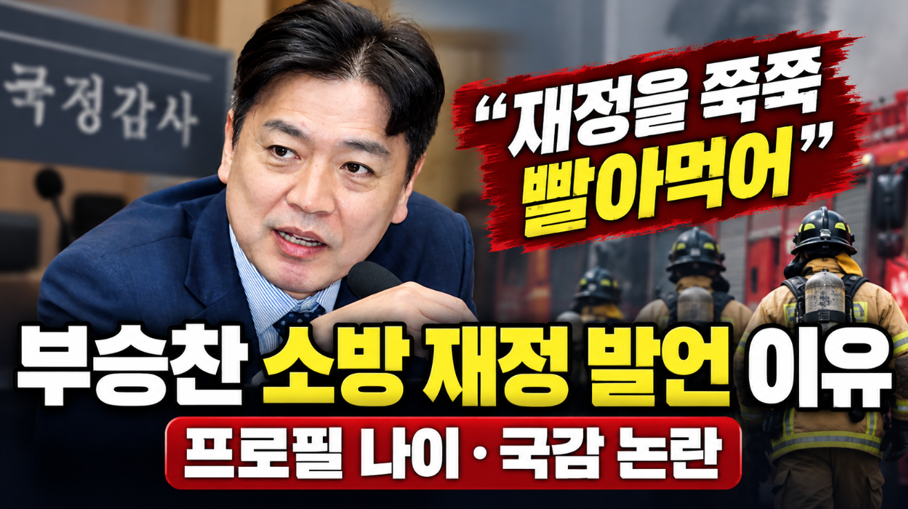 부승찬 소방 재정 발언 이유|프로필 나이·국감 논란