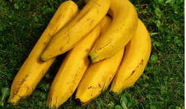 바나나 보관방법