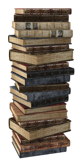 전지적 독자 시점 후기｜남성 독자들이 극찬한 이유와 몰입 포인트 총정리