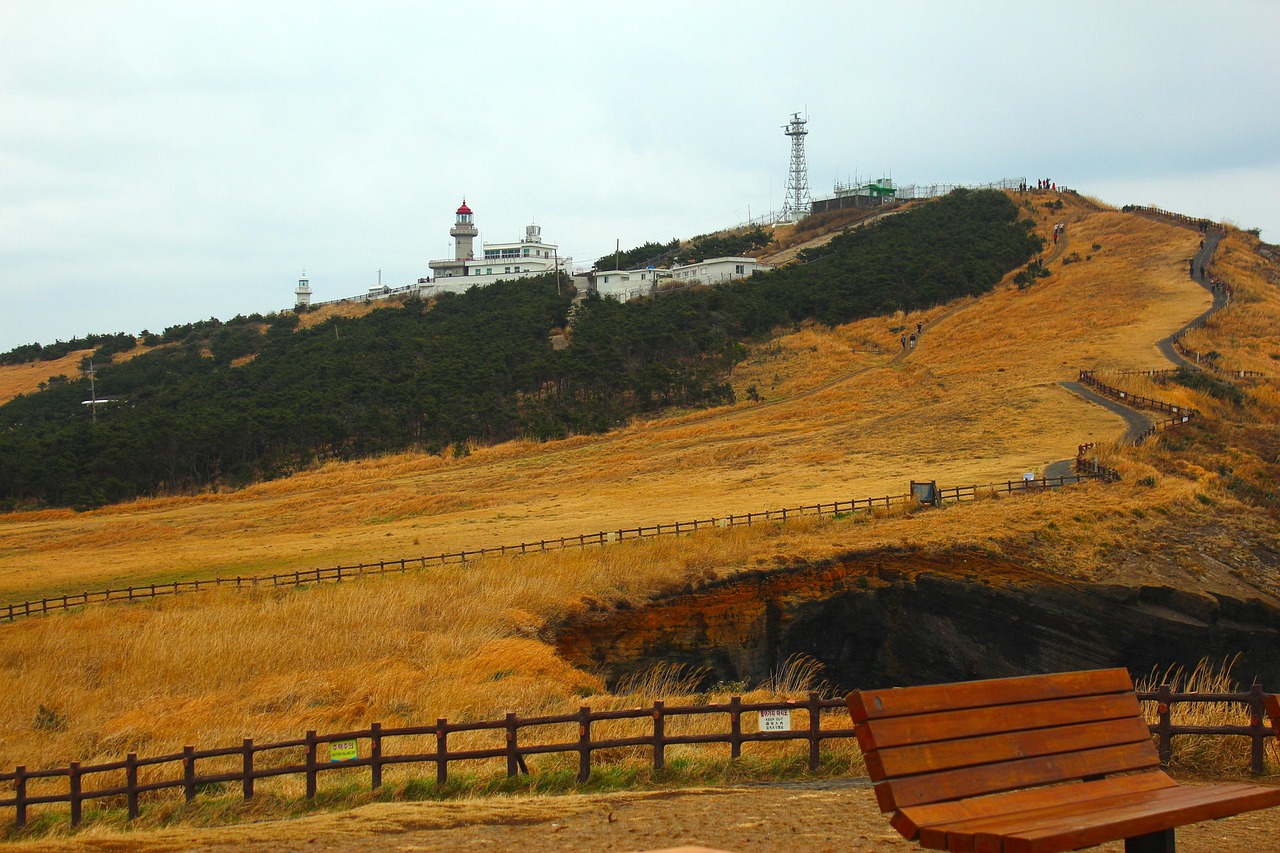 제주 단풍 명소 추천 ❘ 한라산, 오름, 비자림 가을여행