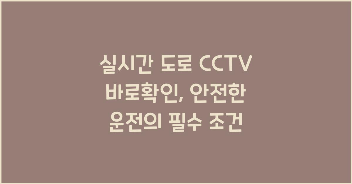 ์ค์๊ฐ ๋๋ก cctv ๋ฐ๋กํ์ธ