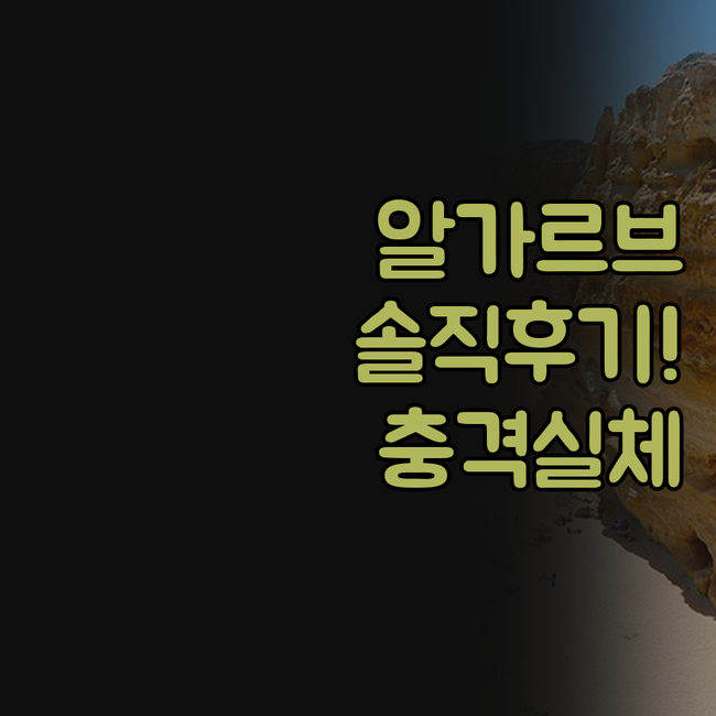 알가르브 라고아 호텔 빌라 알바 발레..