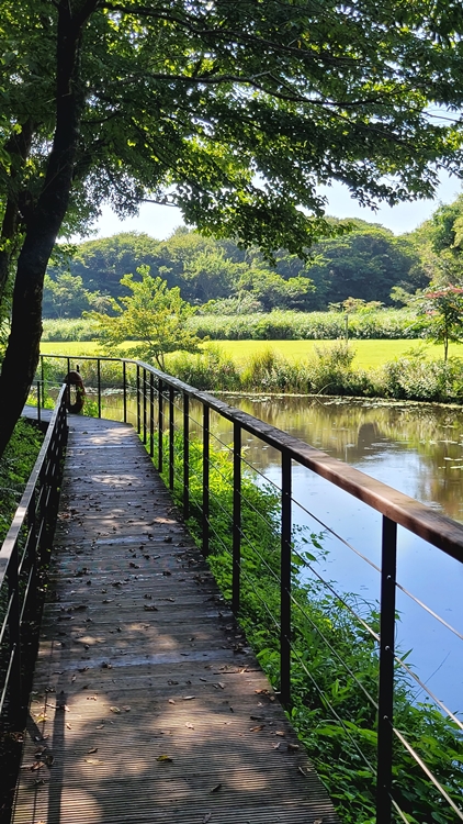 제주가족여행-곶자왈-기차여행-에코랜드 테마파크