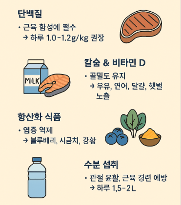 식단과 영양소