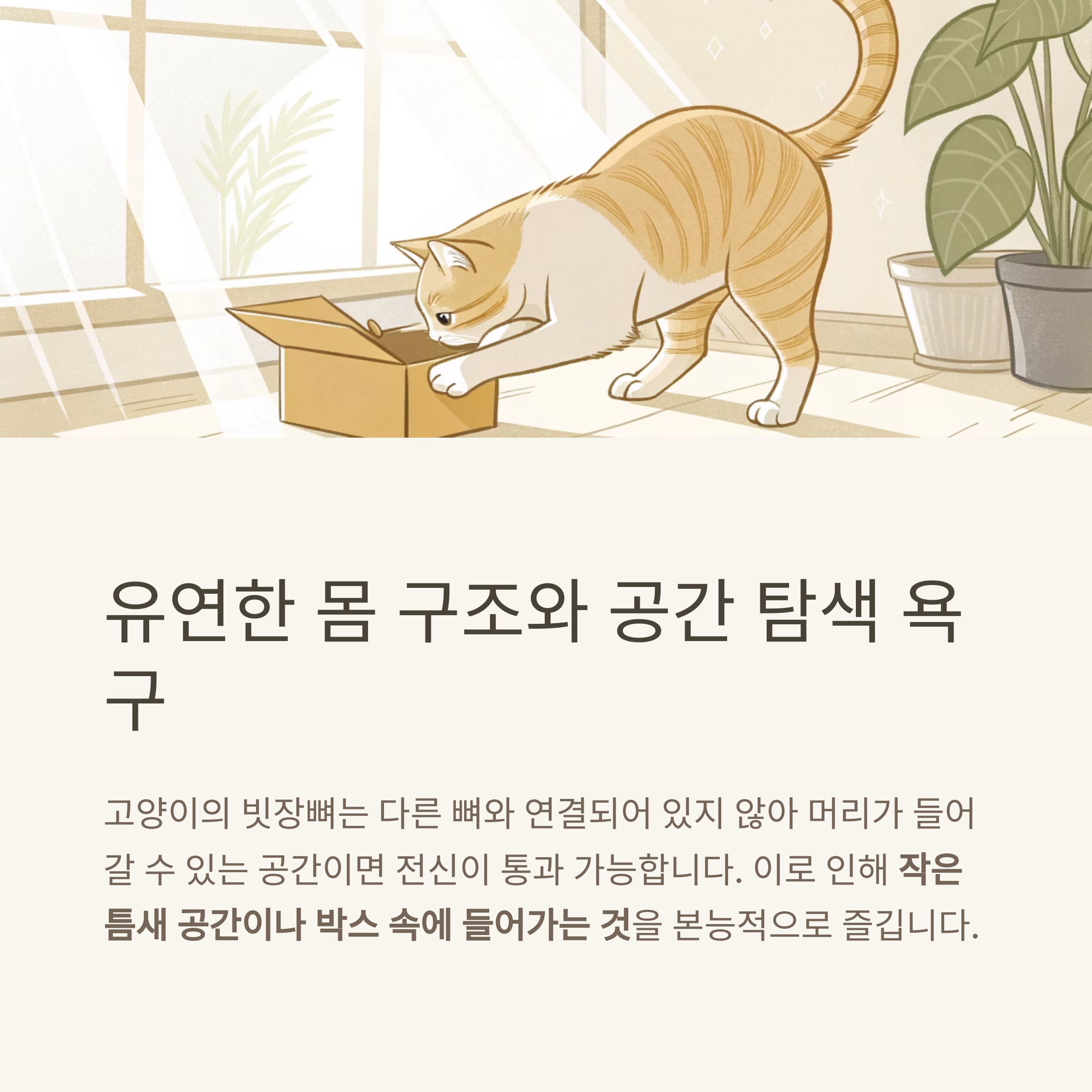 유연한 몸 구조와 공간 탐색 욕구