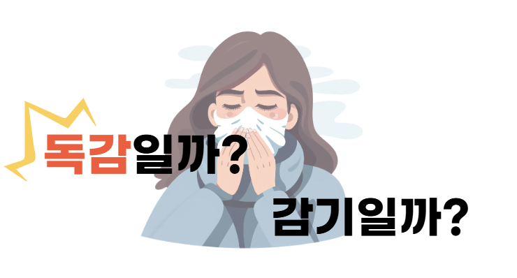독감 감기 차이