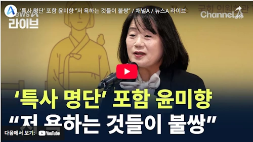 이재명 815 특사 윤미향