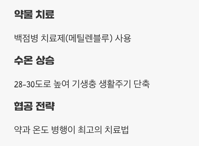 본격적인 전쟁, 약욕과 온도 상승