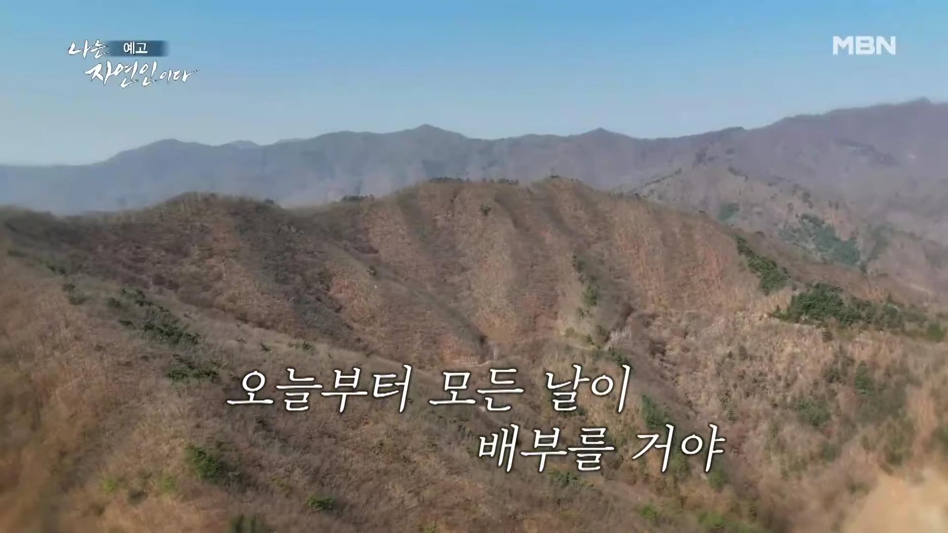 나는 자연인이다 중국집 갈비집 고기집 수타 콩 짜장면 두부 멘보샤 이 맛에 산에 살지요 자연인 조춘행 소개 및 이승윤 출연 550회 다시보기