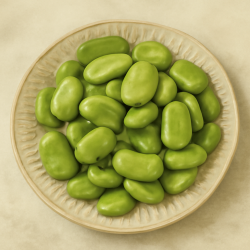 자이언트_파바빈_효능_부작용