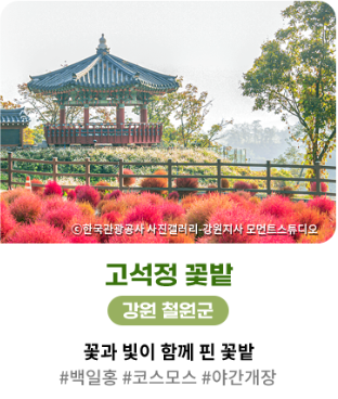 고석정 꽃밭